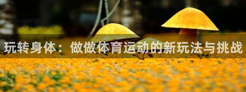 JJB竞技宝官方正版app集团官网首页网址：玩转身体