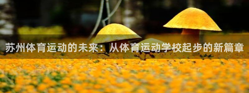JJB竞技宝官方正版app娱乐网站：苏州体育运动的未