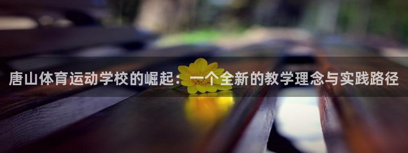 JJB竞技宝官方平台体育：唐山体育运动学校的崛起：一个全新的