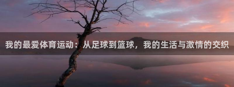 JJB竞技宝官网下载招商电话号码是多少：我的最爱体育运动：从
