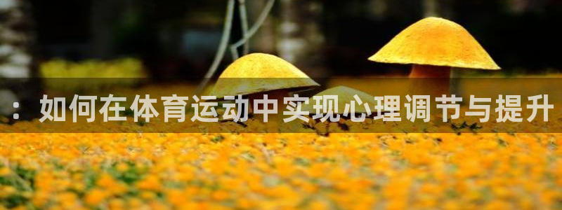 德国JJB竞技宝官方正版app集团：：如何在体育运动