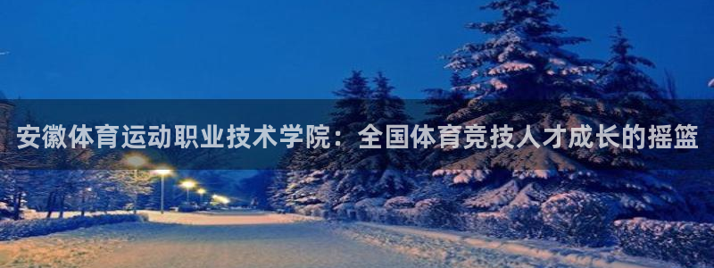 JJB竞技宝官方正版app娱乐首页网站大全：安徽体育运动职业