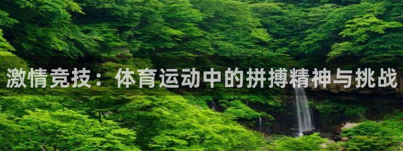 JJB竞技宝官方正版app娱乐网站：激情竞技：体育运动中的拼