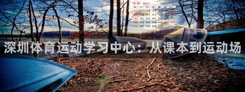 JJB竞技宝官方平台体育：深圳体育运动学习中心：从课