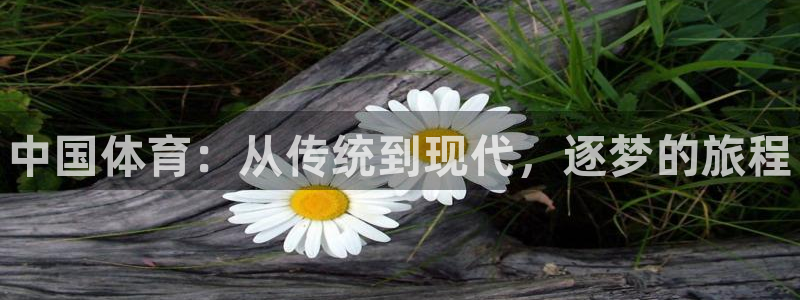 JJB竞技宝官方正版app集团E.ON：中国体育：从传统到现