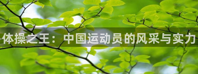 JJB竞技宝官网下载招商：体操之王：中国运动员的风采