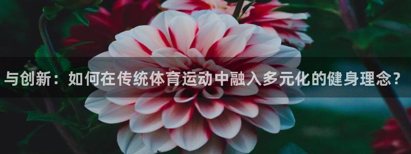 JJB竞技宝官网下载平台注册要钱吗：与创新：如何在传统体育运