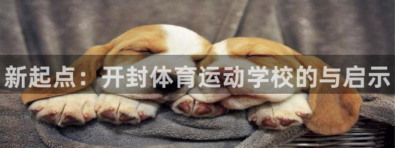 JJB竞技宝官网下载招商电话号码查询是多少：新起点：